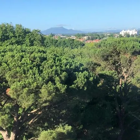 Lägenhet Au Coeur De Bayonne